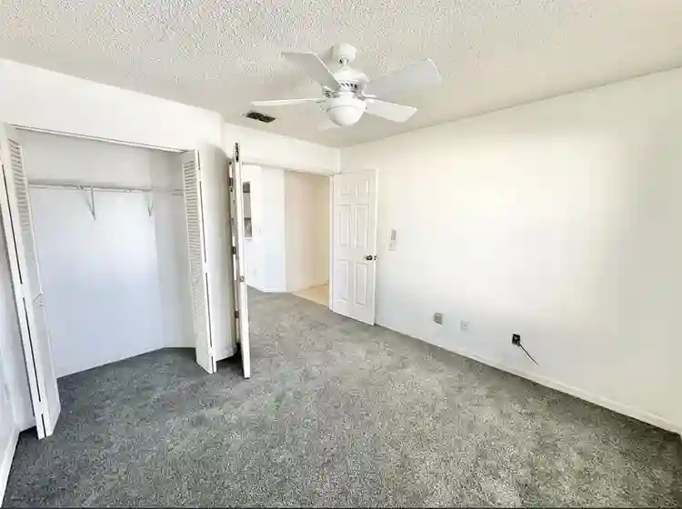 Roomate needed