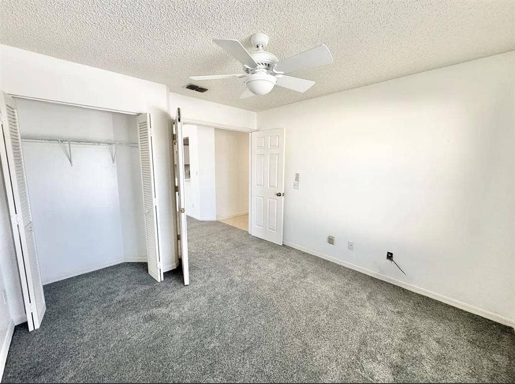 Roomate needed