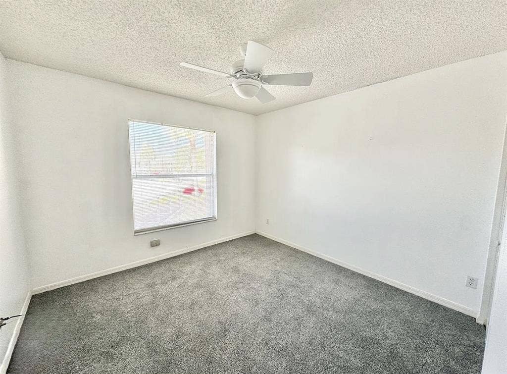 Roomate needed