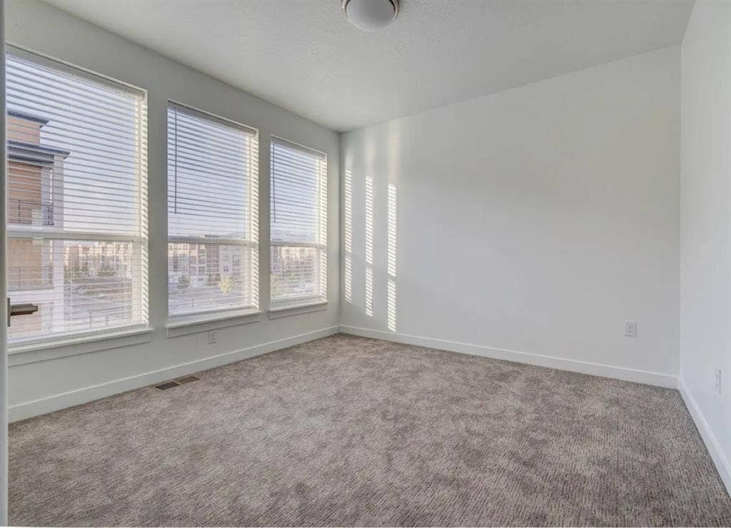 1bd/1ba available (Male)