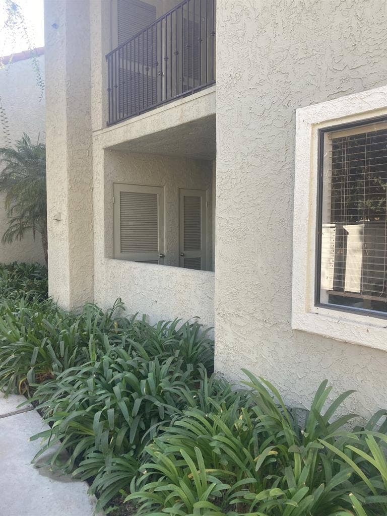 Roommate Wanted. 38M/dog