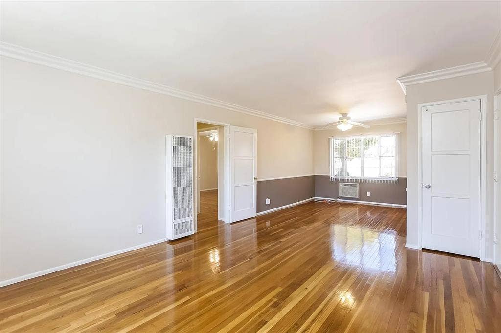 Need a Roommate!