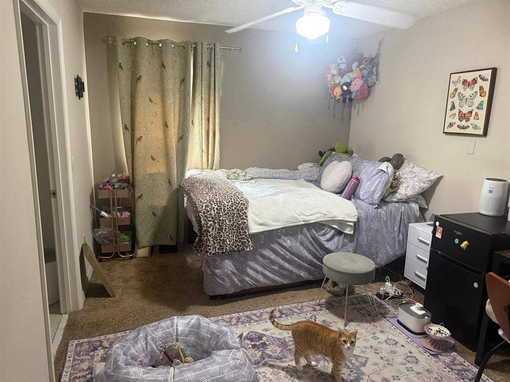 Furnished Room Available Near UCF