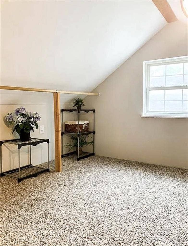Looking for 3rd roommate!