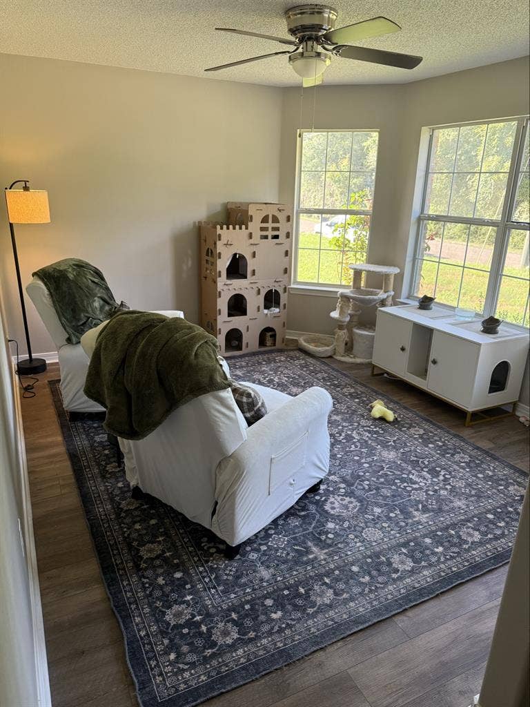 Room on a quiet street