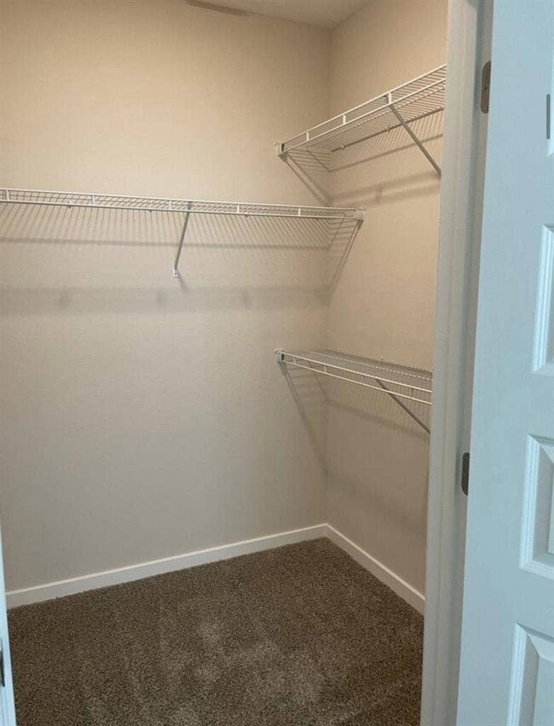 Looking for young respectful roomie
