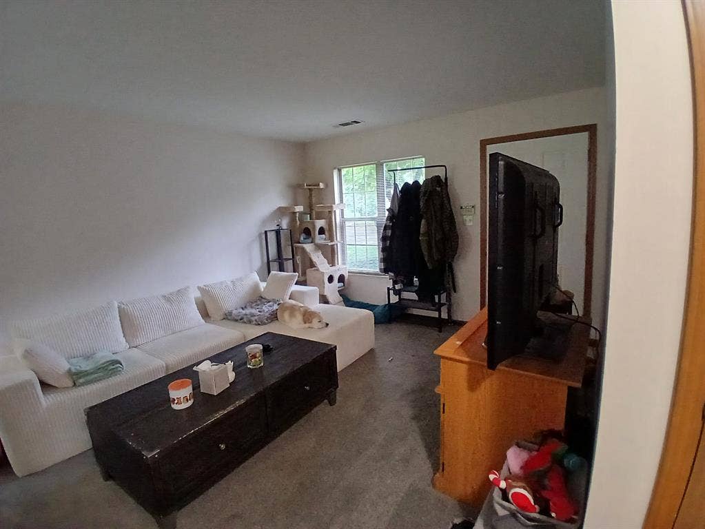 Looking for roommate to share space