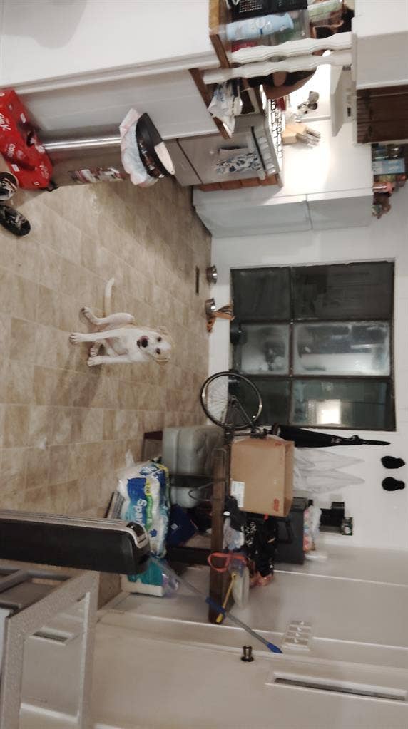 Open room