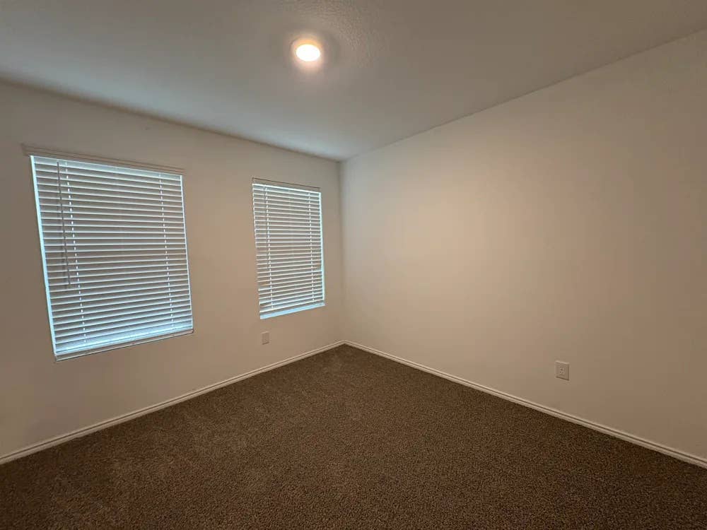 Roommates Needed
