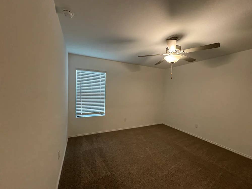 Roommates Needed
