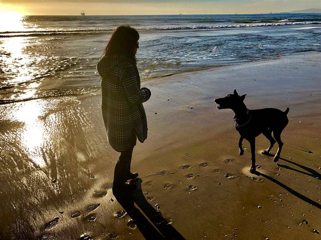 Professional Female & Peaceful Dog
