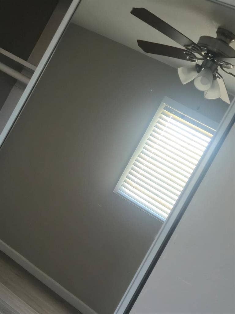 Looking for a roommate