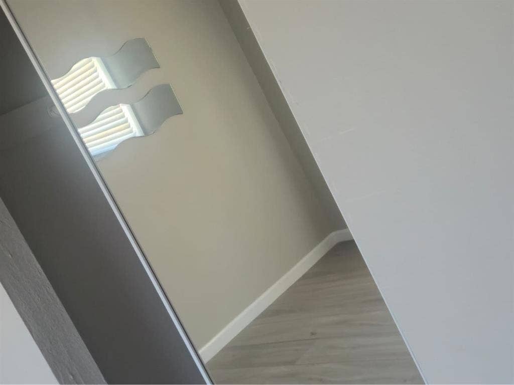 Looking for a roommate