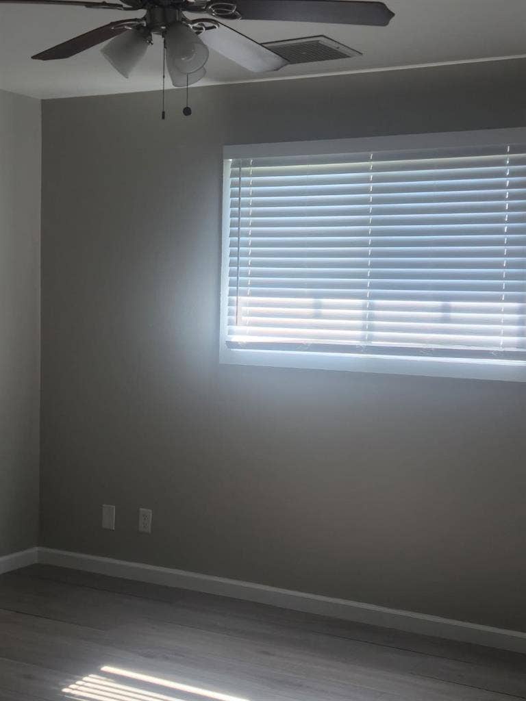 Looking for a roommate