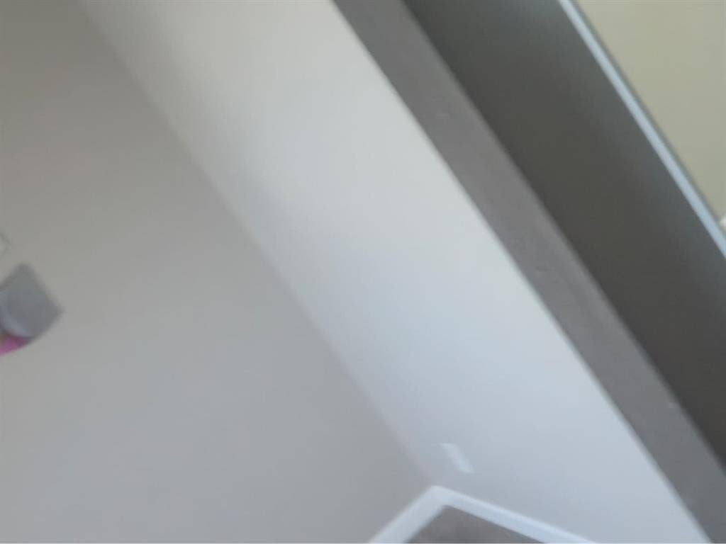 Looking for a roommate