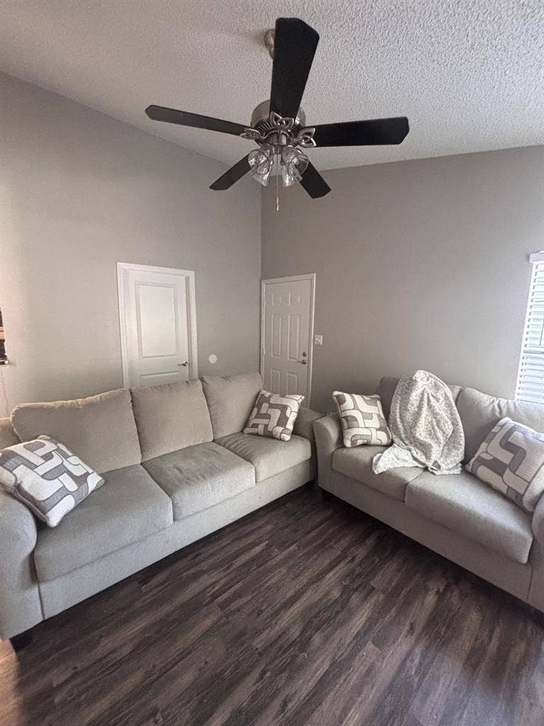 Roommate Needed