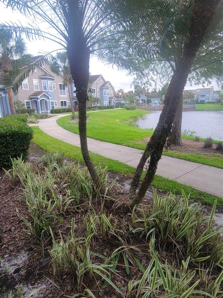 3br 2 bath apartment home to share