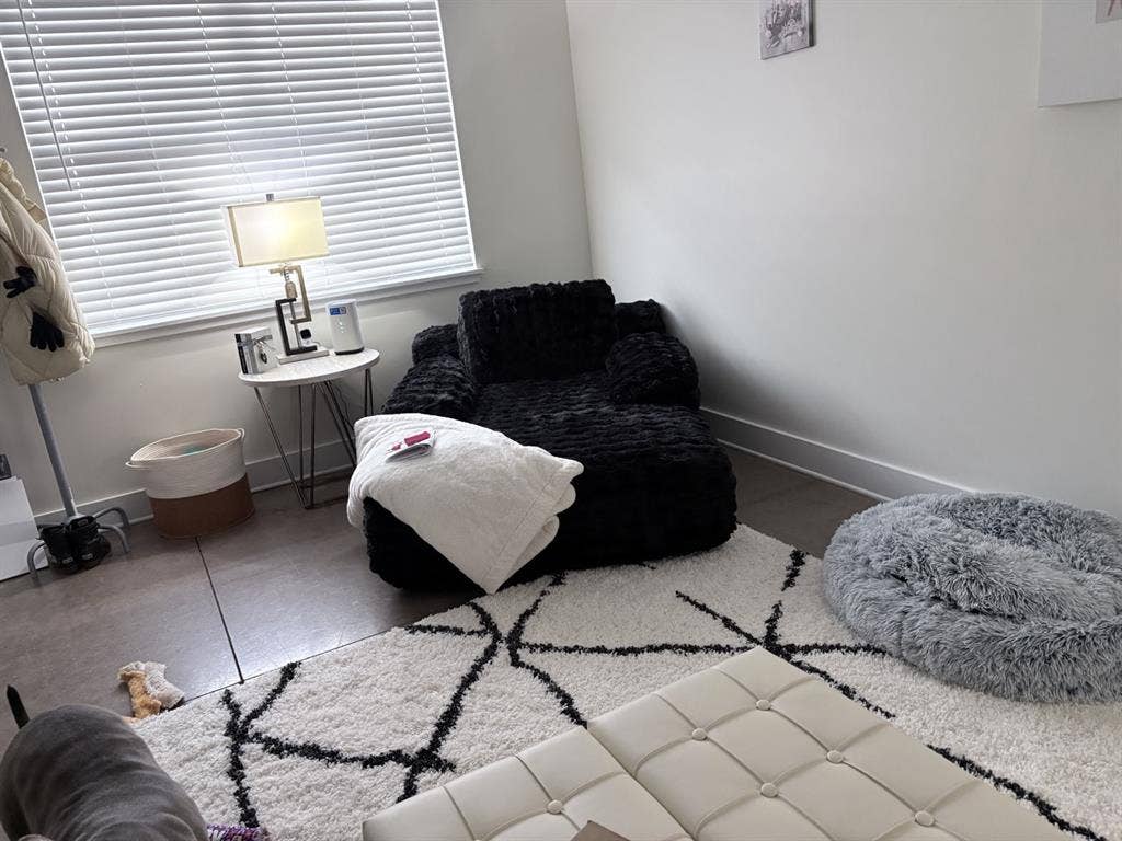 Looking for a responsible roommate