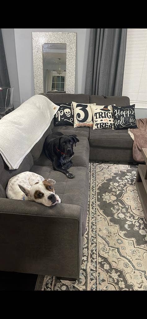 Looking for 2 roomates