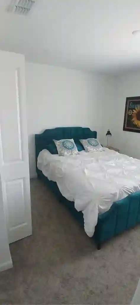 Looking for a new Roommate