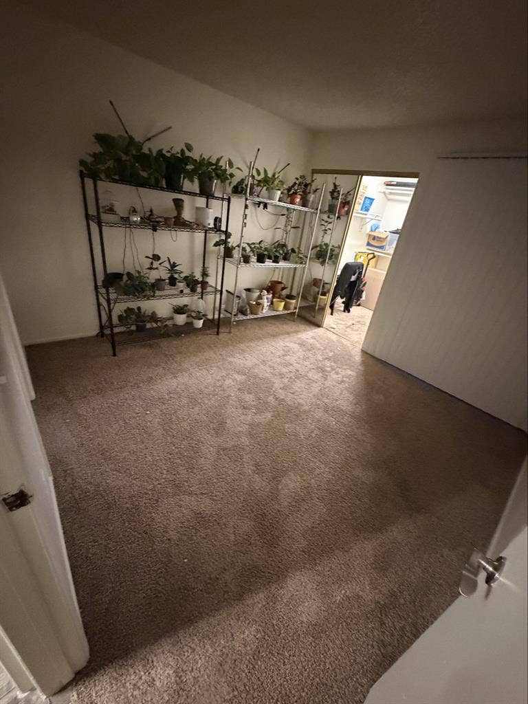 Own Room & Bathroom