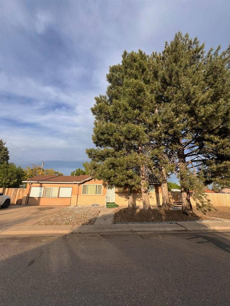 Furnished room in Lakewood