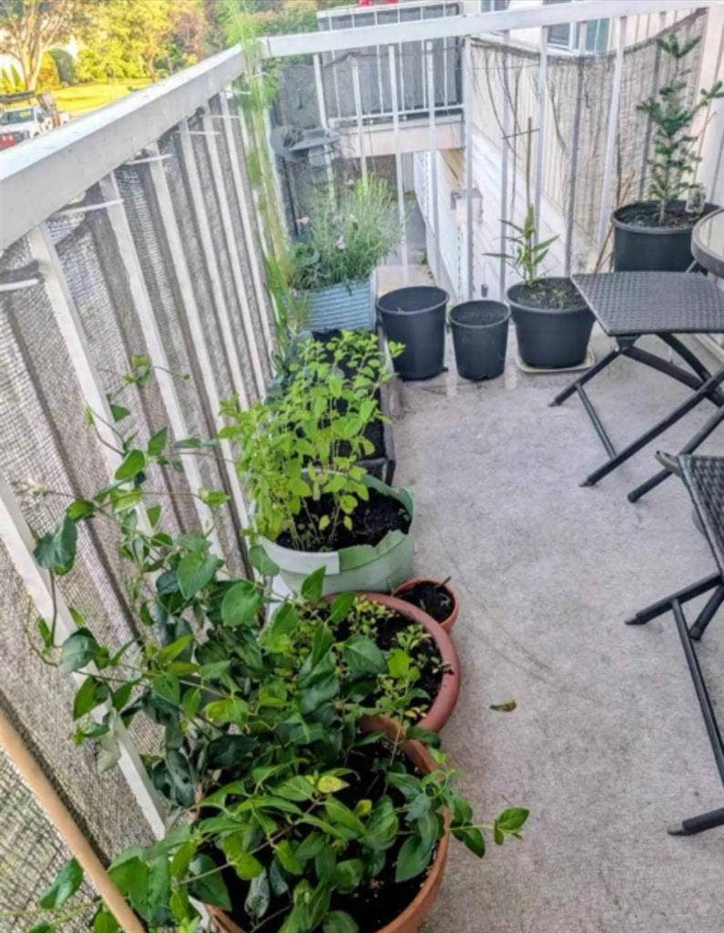 Available July 1st Room for rent