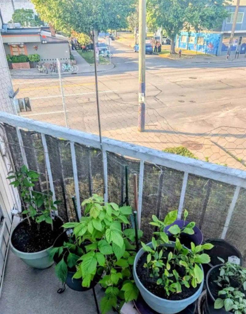 Available July 1st Room for rent