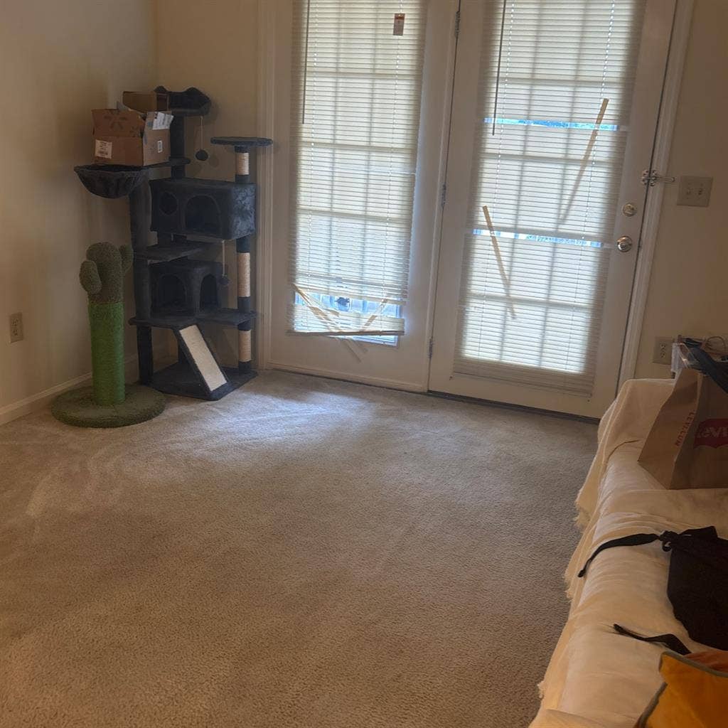 Looking for roommate
