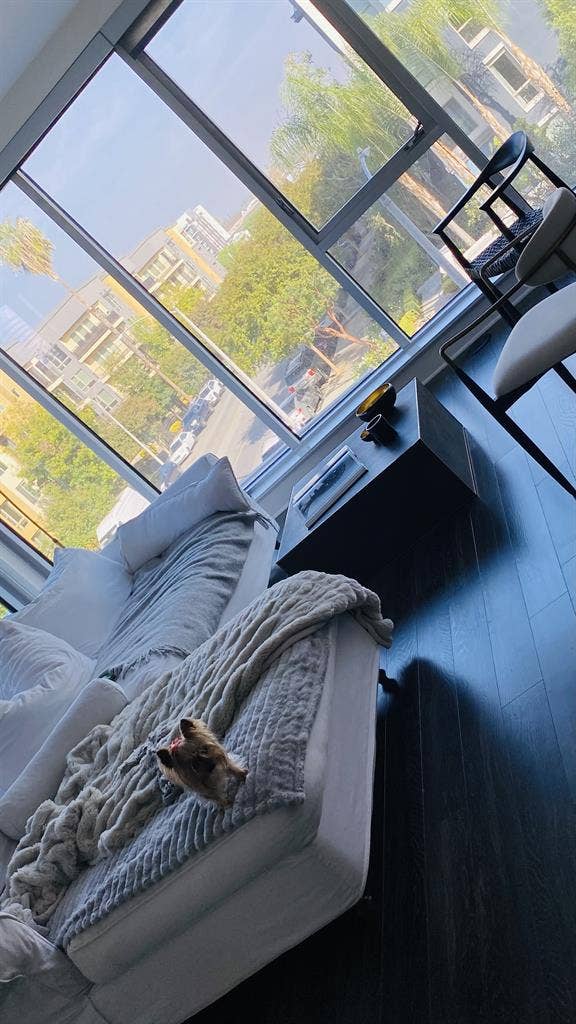 Luxury Apartment Available