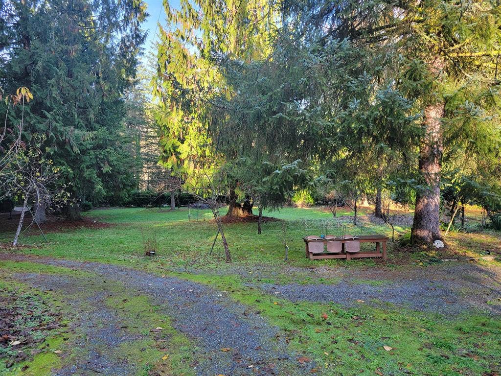 Affordable Issaquah Room for Rent