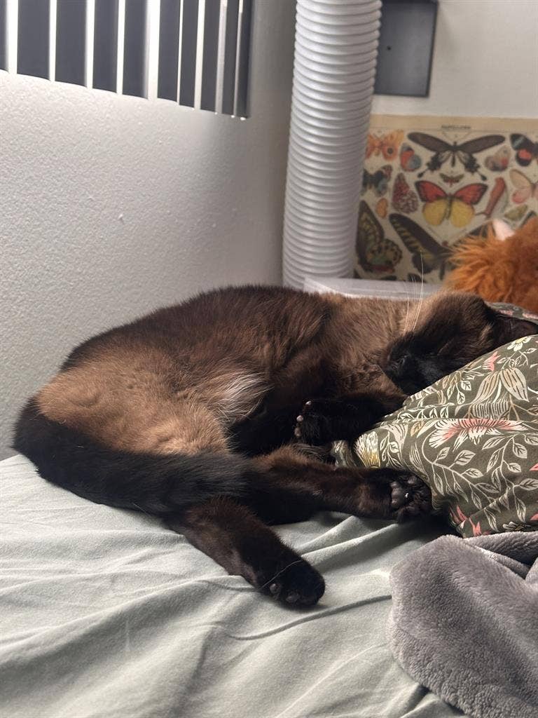 ISO roommate for 2bd/1ba in August