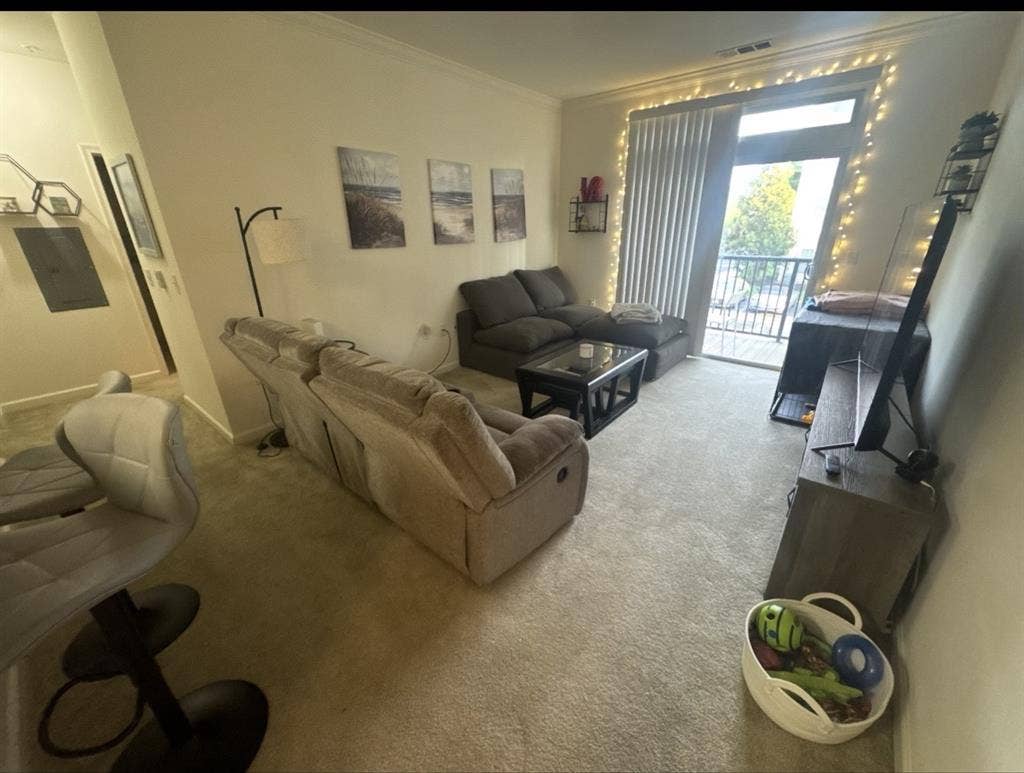 Room available at the Jersey Shore!