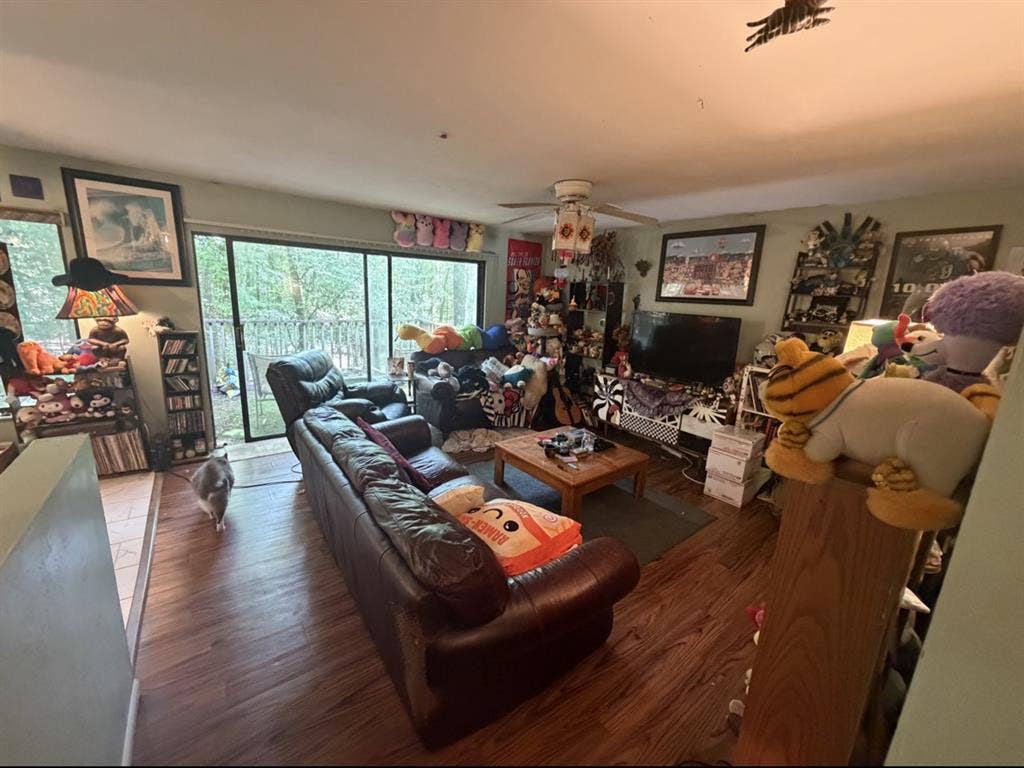 New Listing