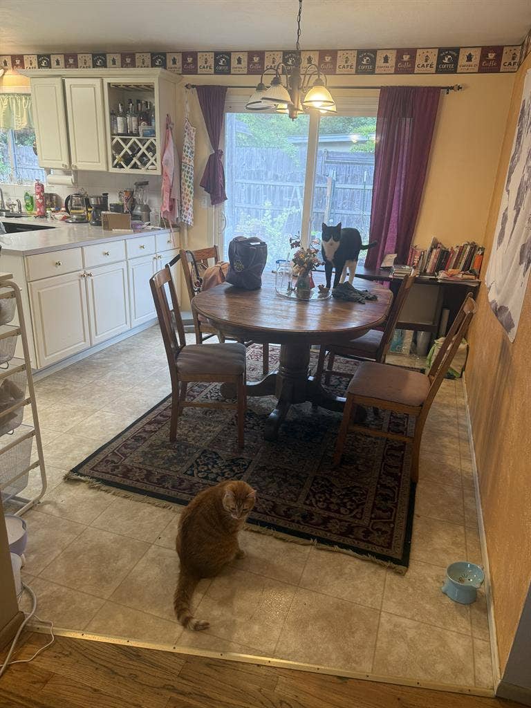 Two Connected Rooms w/ Bathroom