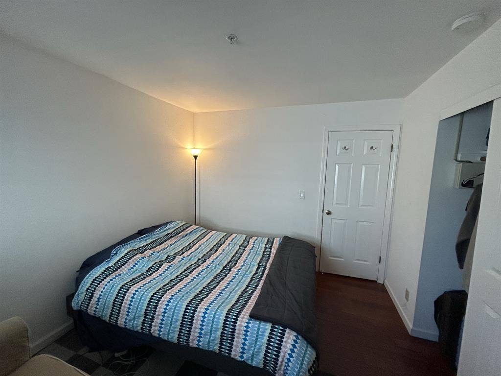 Professional for Shared House