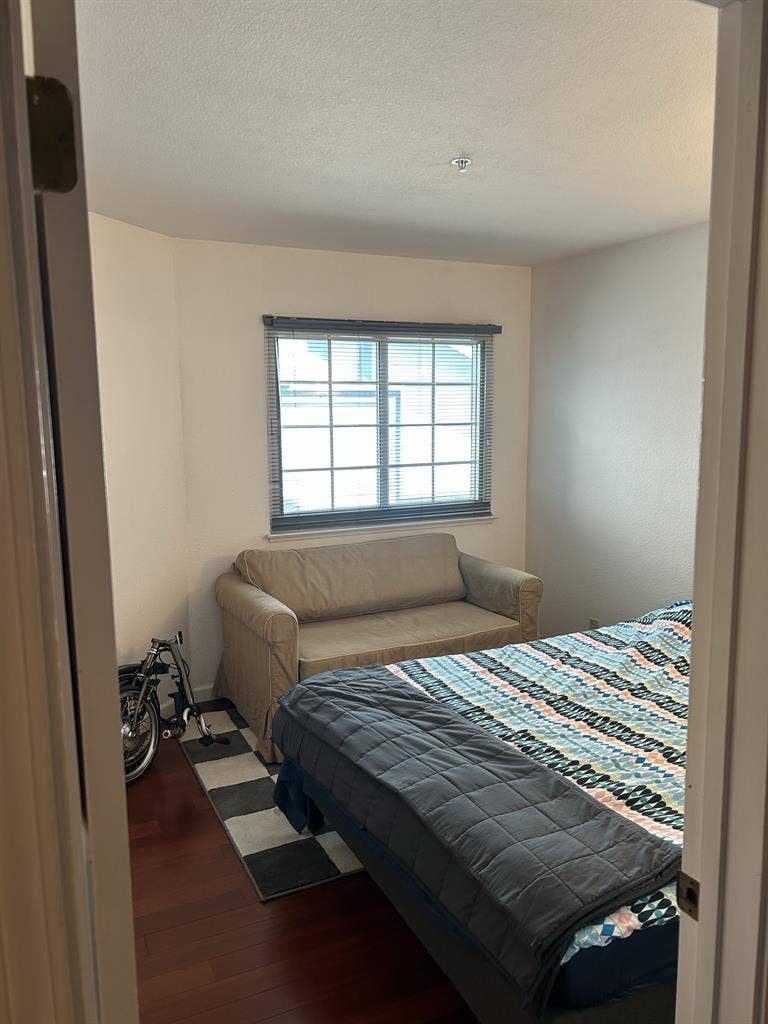 Professional for Shared House