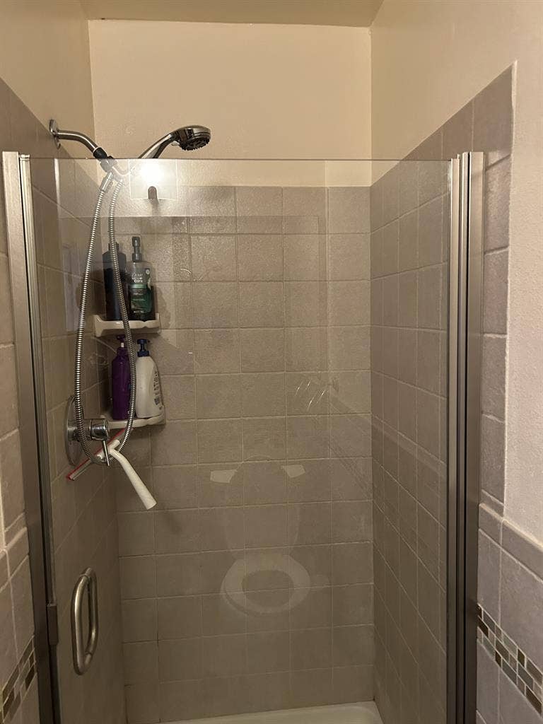 Professional for Shared House