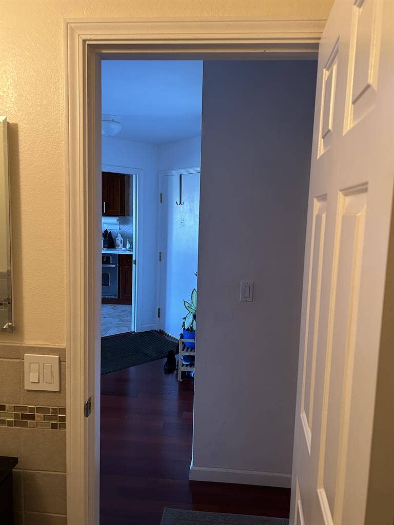 Professional for Shared House
