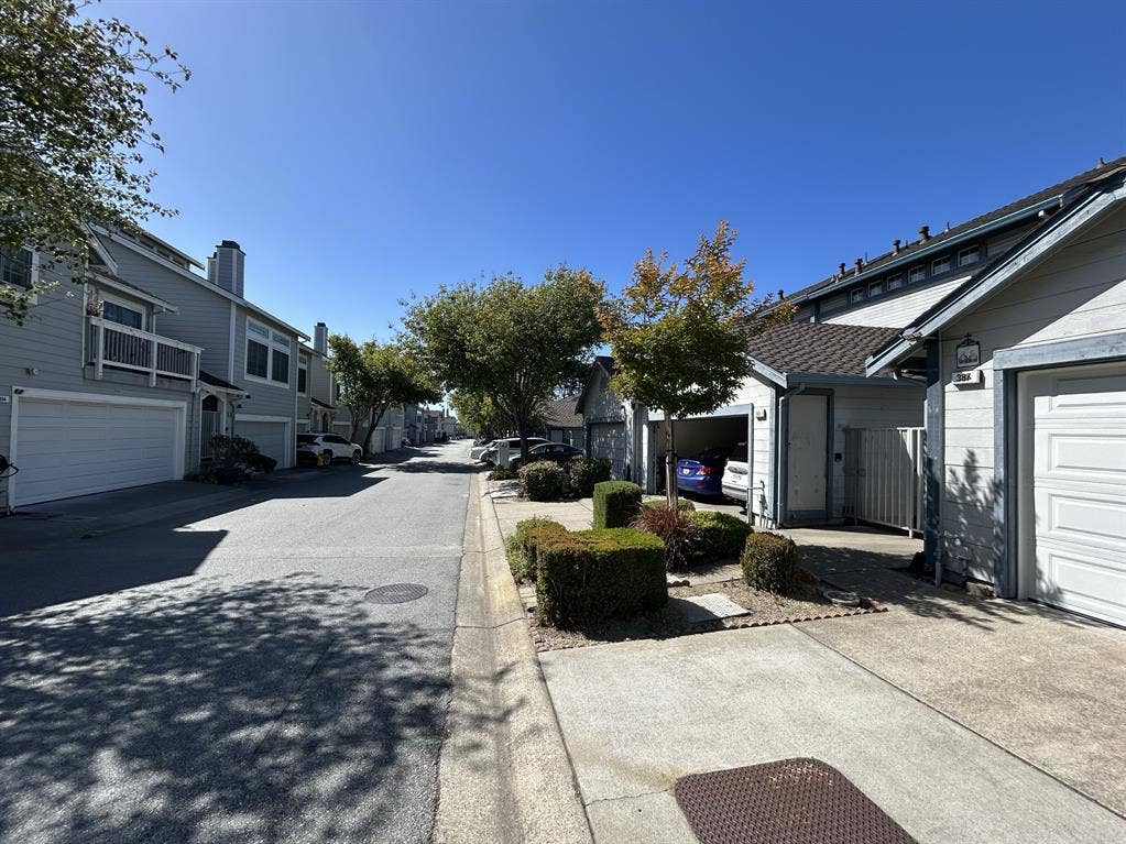 Professional for Shared House