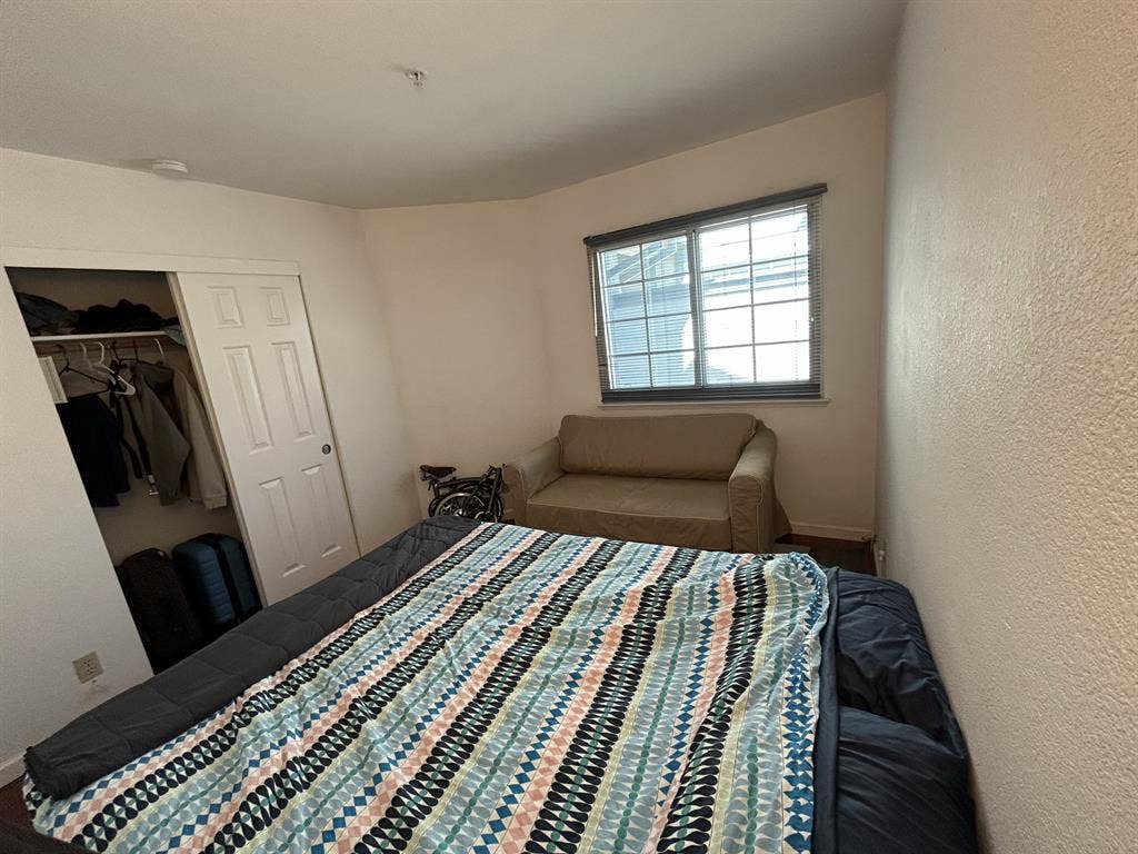 Professional for Shared House