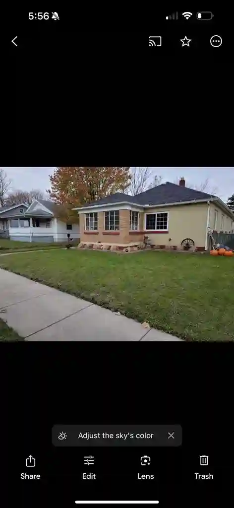 Cool roommate wanted