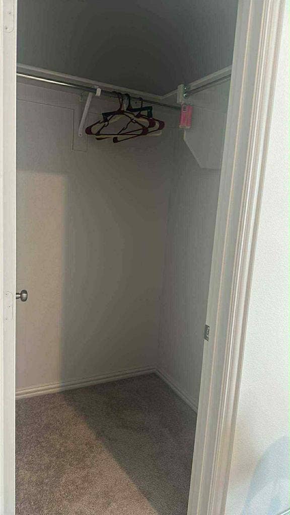 Room available for female