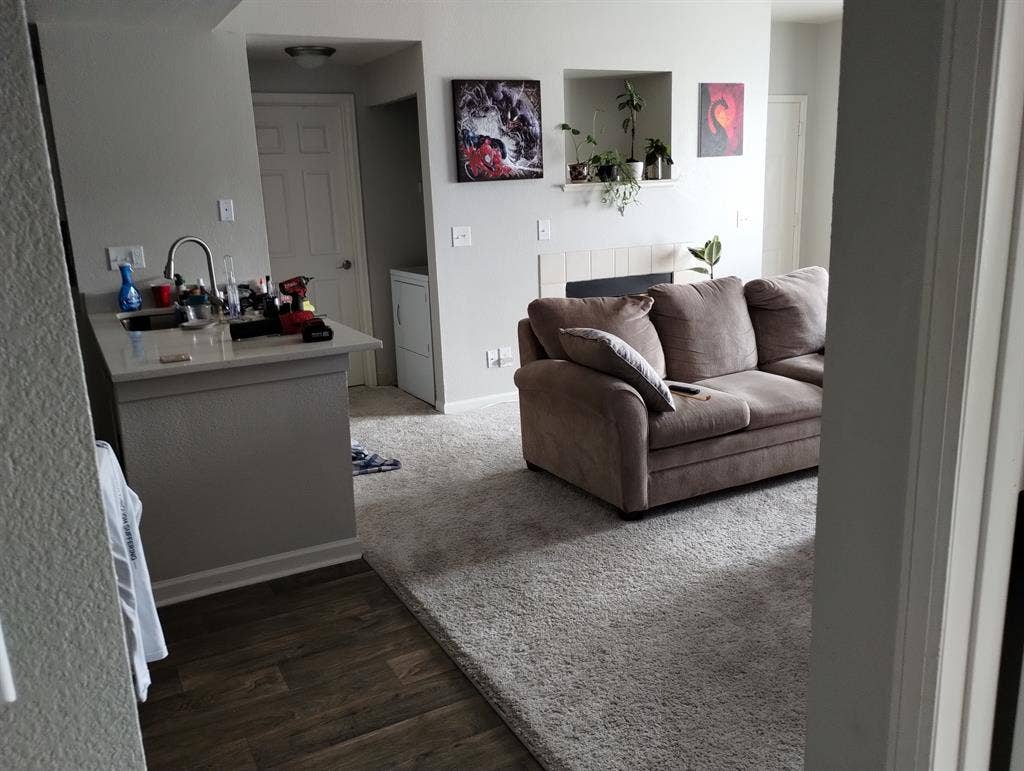 Looking for roommate