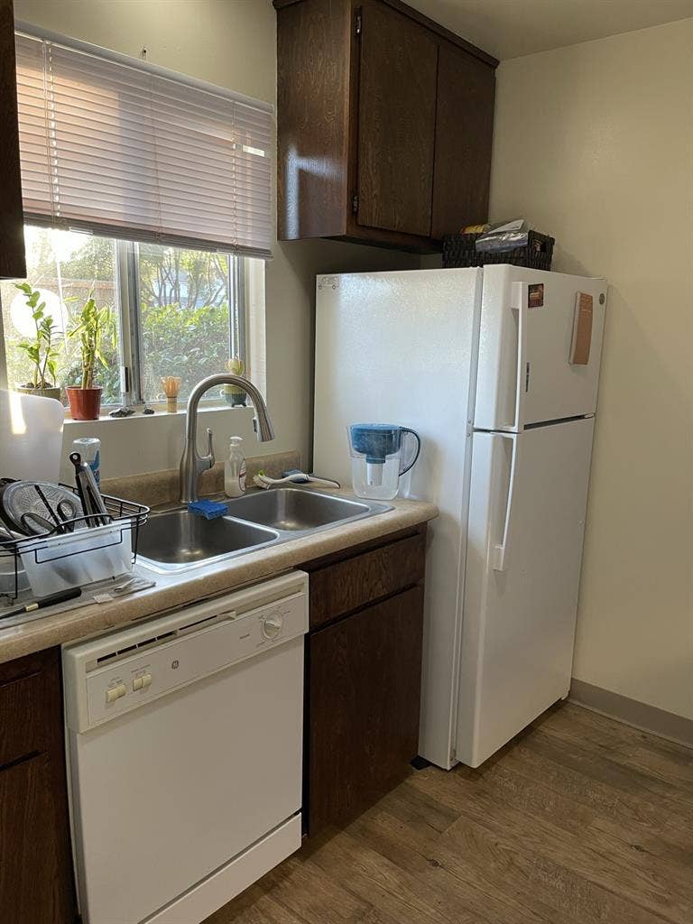 Shared Room Available 2026-2027