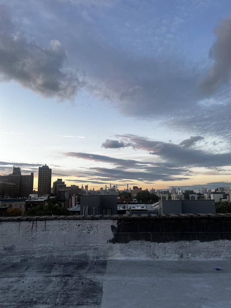 Sunny Brooklyn Room Available
