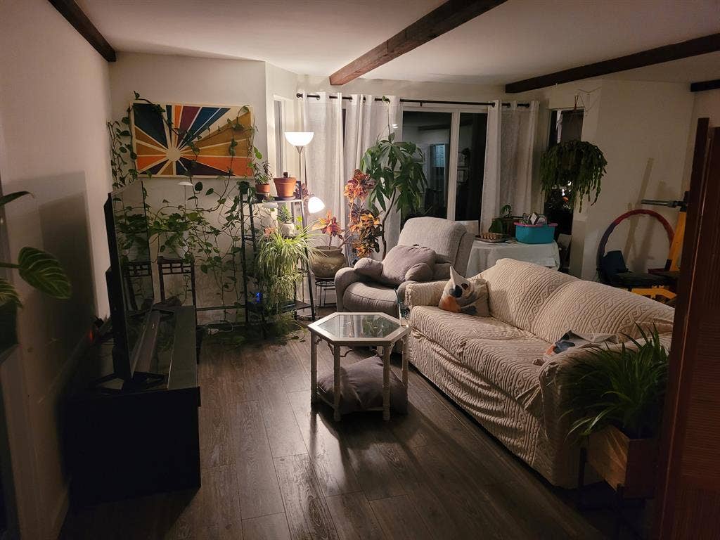 New Listing