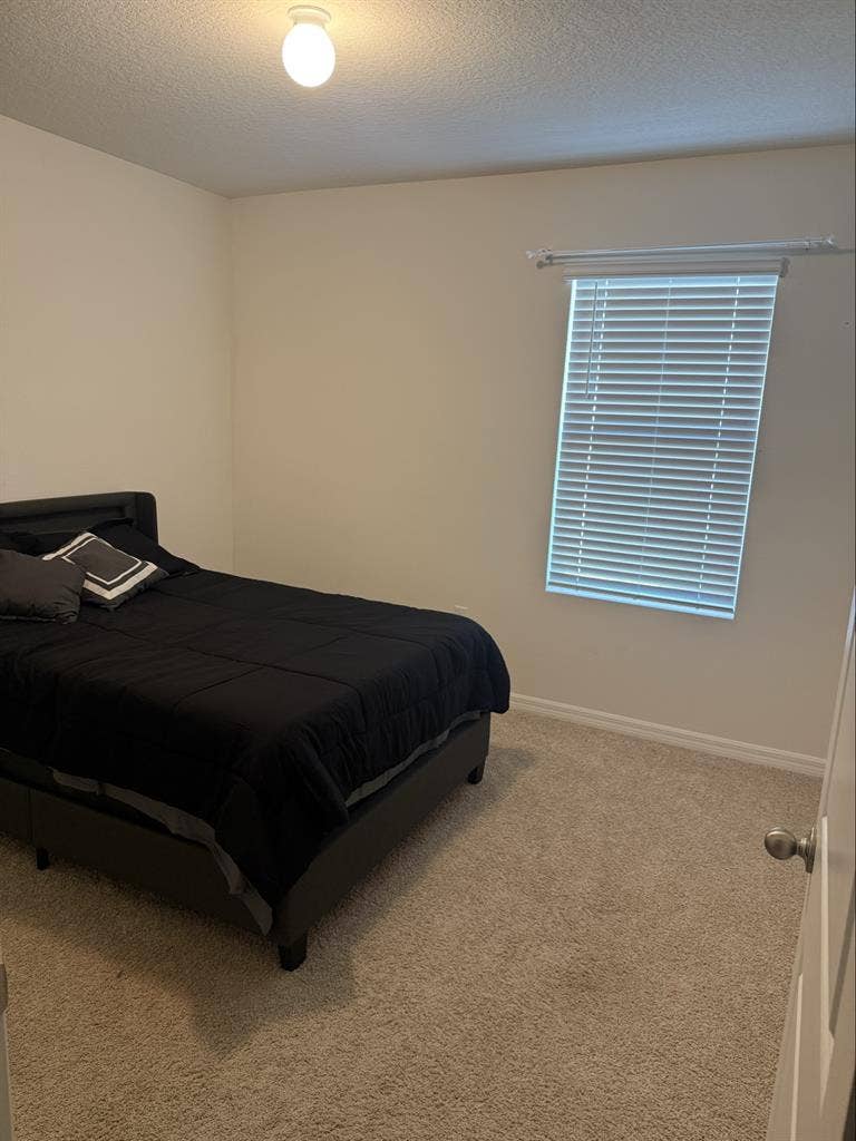 Furnished Room, Wimauma