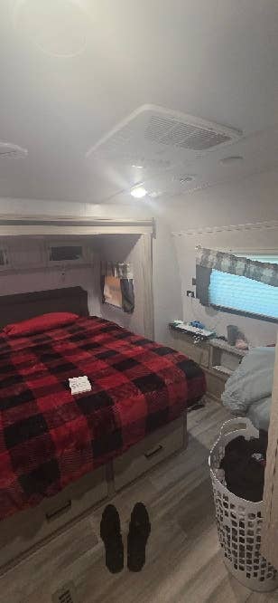 In Search of Roommate