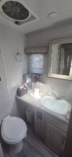 In Search of Roommate
